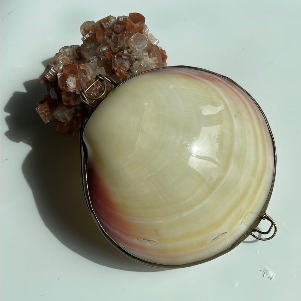 Vintage Polished Clam Sea Shell Brass Hinged Trinket, Jewelry Box